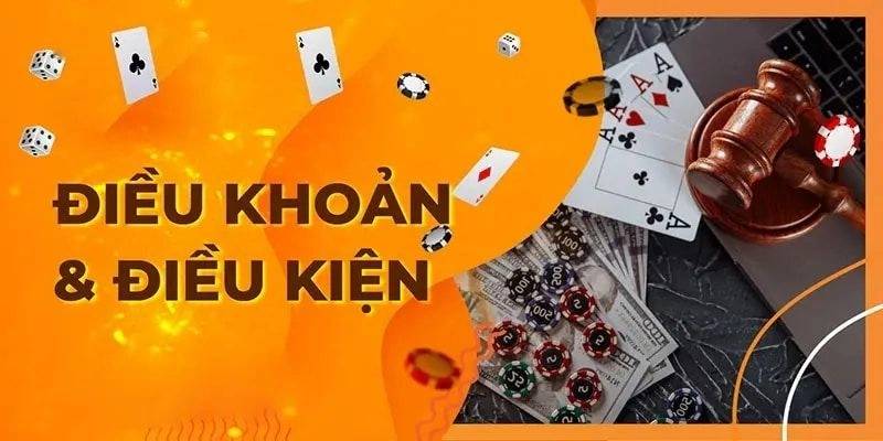 Người chơi cần tuân thủ điều khoản và điều kiện